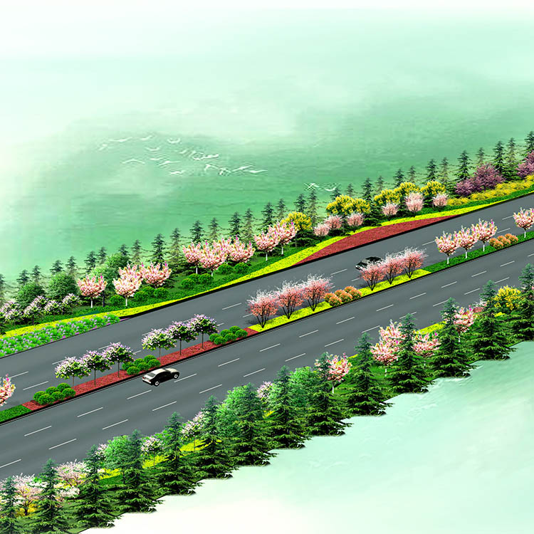 濟寧太白路西延